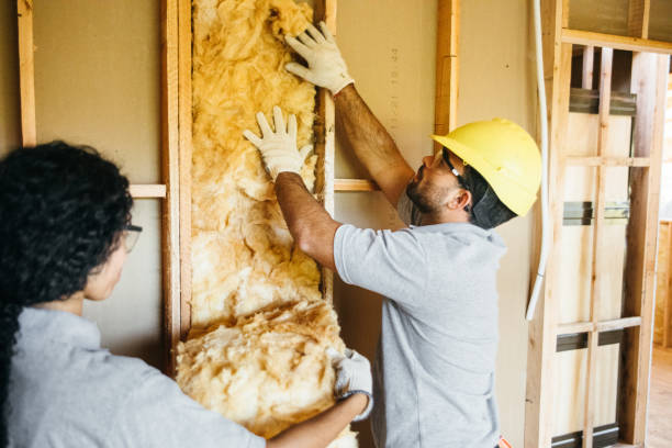 Best Professional Insulation Contractor  in South Coatesville, PA
