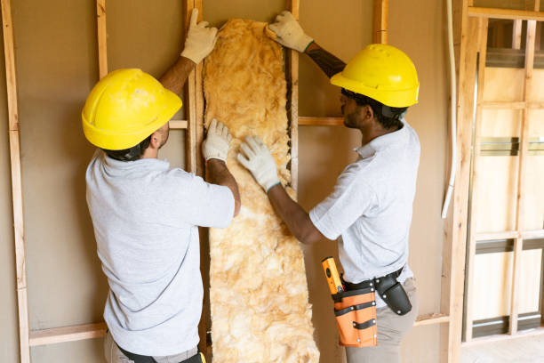 Best Professional Insulation Contractor  in South Coatesville, PA